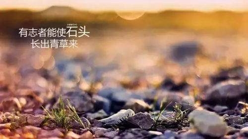 指尖跃动时代强音 新媒体大赛赋能文艺创作弘扬正能量